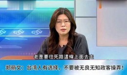 台湾郑丽文爆料视频,揭秘背后惊人真相