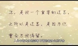 情感语录最新爆料文案,最新爆料，揭开心灵深处的故事